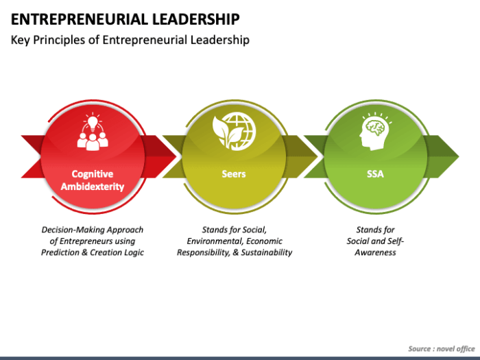 Entrepreneurial leadership