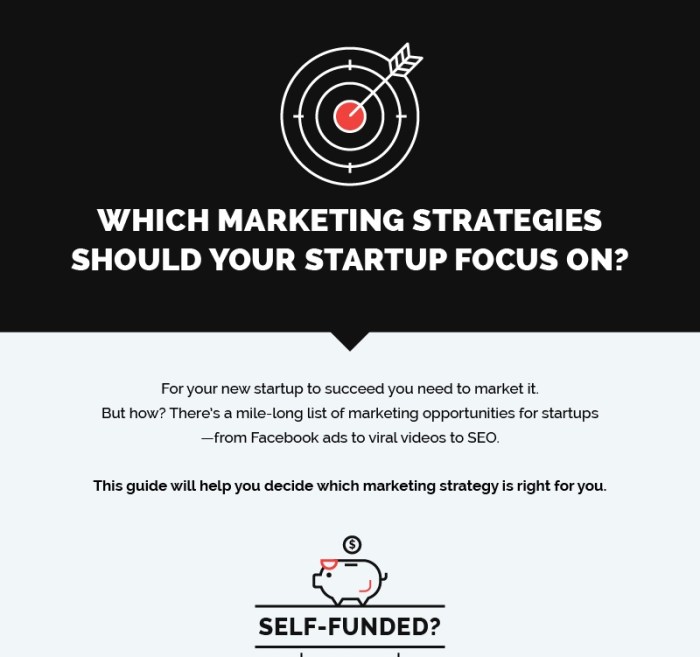 Startup marketing strategies
