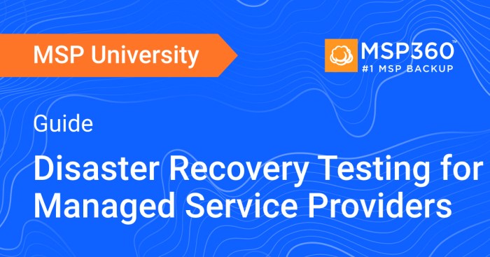 Disaster recovery testing scenarios