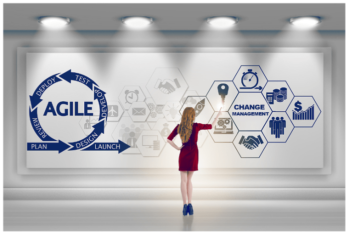 Agile change management