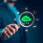 Sustainability consulting firms