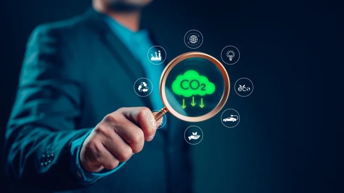 Sustainability consulting firms