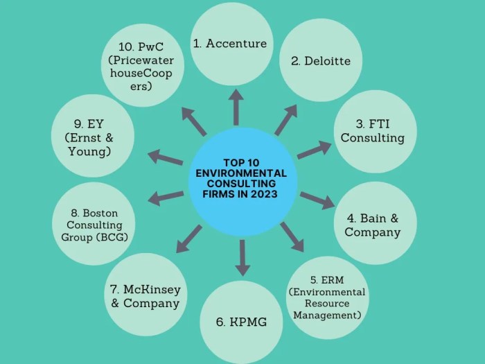 Sustainability consulting firms